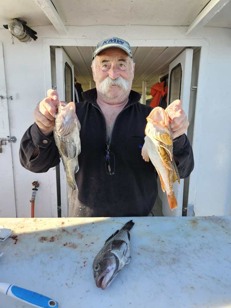 a person holding a fish